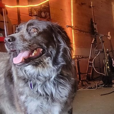 @SouthpawPigpen