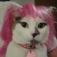 Kiwi (@xkiwithekidx) 's Twitter Profile Photo Kiwi (@xkiwithekidx) 's Twitter Profile Photo