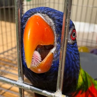 Sa*no(さの)さんのプロフィール画像