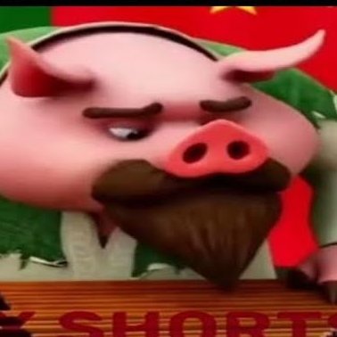 PorkieHunter Profile