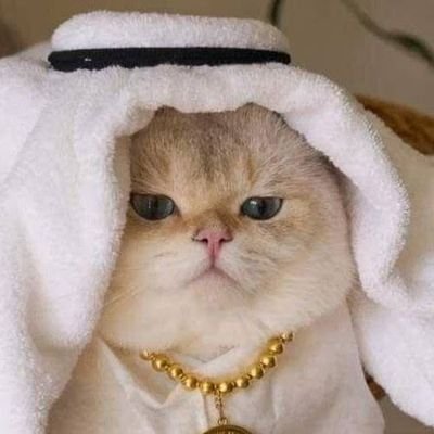 yaaudahsiii's profile picture. hello X