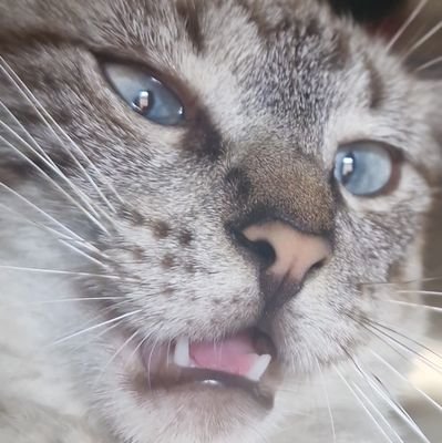 Mepassa1dolar27's profile picture. 