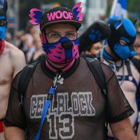 Pup_Dover (@pupdover18) 's Twitter Profile Photo