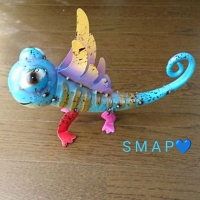 みっぷ 📎💙❤💗💛💚🤍📎さんのプロフィール画像