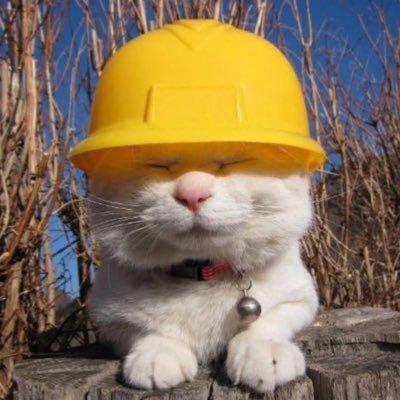 spicyn4ch0s's profile picture. 