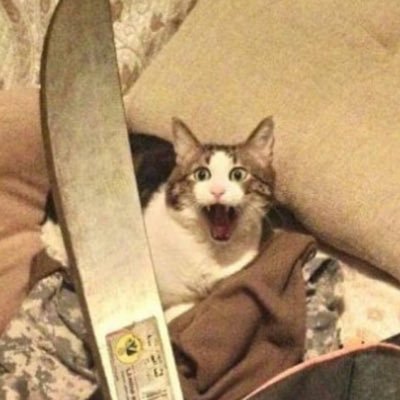 makisimamu70's profile picture. 