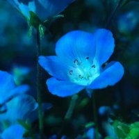 名無し (@iakai9898) Twitter profile photo