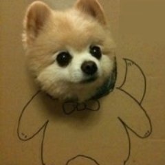 konekoon1さんのプロフィール画像
