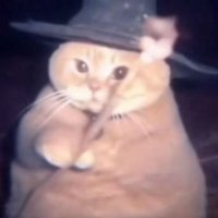 Sparkle (@universe1821888) 's Twitter Profile