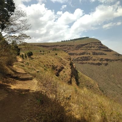 @Tonywaigwa