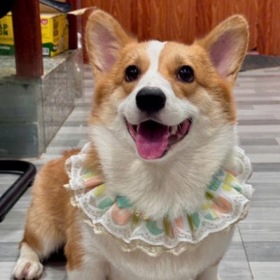 #Crypto #Gamefi #Dogcoin #Ponzi
Tiền trong túi bạn vẫn trong túi bạn vẫn là của bạn.