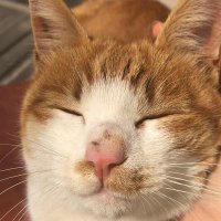 유현 (@imyuh_41) 's Twitter Profile Photo