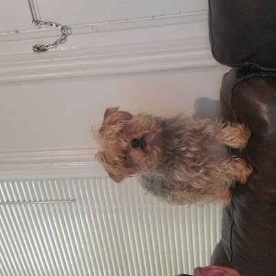 MillMarcie's profile picture. 