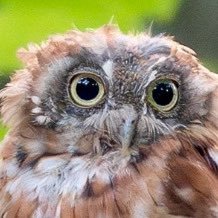 vgdjhggd's profile picture. 