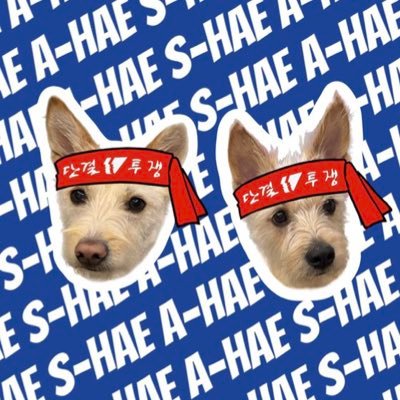 🕯아해서해🕯さんのプロフィール画像