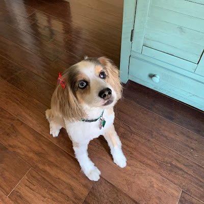 raega12083's profile picture. 