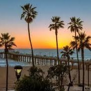 wyycn1834104's profile picture. 