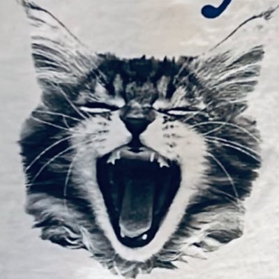 みゃー (@mya_mya_mya38) / Posts / X