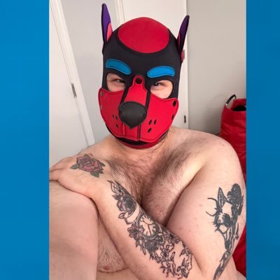 {18+} NSFW ACC- Ag. 27/Leo♌️/Gamer❤️Into pup play - with those who are into it too/I’m also a furry with a dog sona🐶