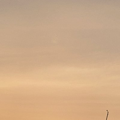 uuuntitledddd's profile picture. 