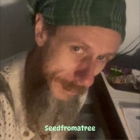 Seedfromatree (Justin Love) (@seedfromatree) 's Twitter Profile