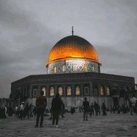 زينــب عــلــي. (@zena_b_ail) 's Twitter Profile