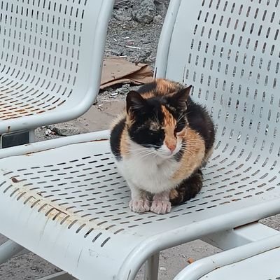 _TekNokta_'s profile picture. Her Nefis Ölümü Tadacaktır.
Memur 
PostMan