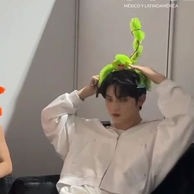 dul ⚝ 🐢 TSC: TOGETHER ⭐️ Profile