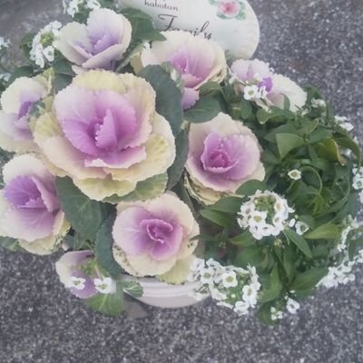 6aou2LdpWj69741's profile picture. 