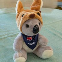 兵兵 (@mpwgdpagj12) Twitter profile photo