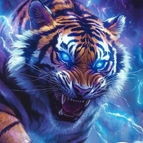 BadreddineBi's profile picture. 