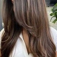 Dedseal (@dedseal92054) 's Twitter Profile