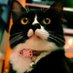 Faris Jasni (@farisxde) Twitter profile photo Faris Jasni (@farisxde) Twitter profile photo