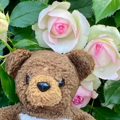 読書。おしゃべり短歌会。短歌の布教。佐藤さとるファン同人誌〈コロボックル部〉部員。コロボックル部活動の発表会→https://t.co/BL38A3lUpW コロボックルファンの方、是非お読みください!〈コロボックルと古本のお店リナエカ商店〉読書会開催。