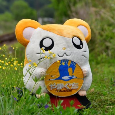 aba557f4db3a4a4's profile picture. おいでませ～山口♪来るっちゃ！地元山口線沿線に時間があれば出没🤣アレ🪭見かけたら宜しく🙇‍♂動画🎞iPhone📲撮り📹サブX📲も宜しく