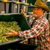Jim belushi farm Oregon (@belushifarm78) Twitter profile photo Jim belushi farm Oregon (@belushifarm78) Twitter profile photo