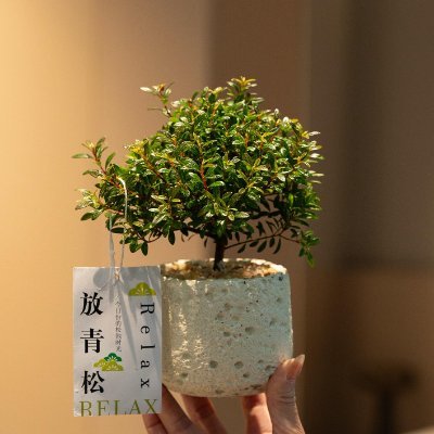 uugdaod's profile picture. 這是一個雜食帳號，如果遇見感興趣的事情我會大聲談論它📣