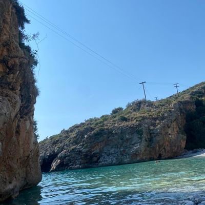 Vagpet1's profile picture. 