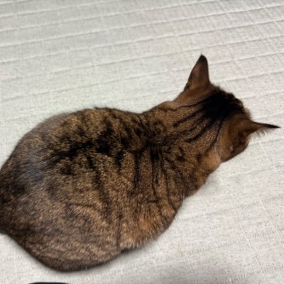 加藤さんのプロフィール画像
