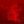 Antonio (@Antonio84431464) profile picture