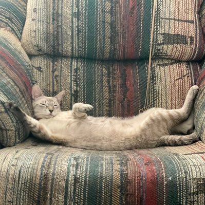 LuisAars1's profile picture. “No destruyas tu mundo por un mal momento” Monjag