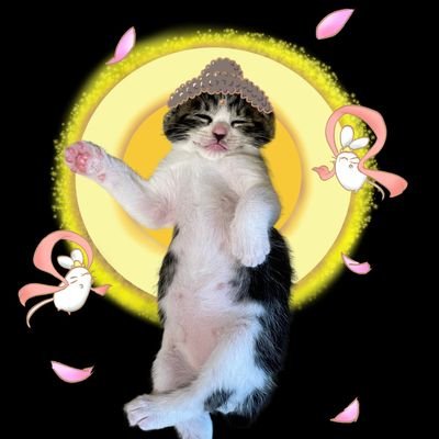 パトさんのプロフィール画像