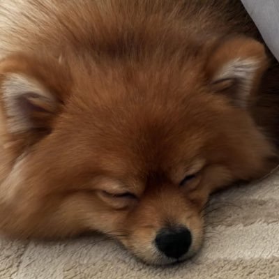 Aalyousef16's profile picture. 2/8 ♒️