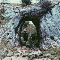 Ron Stracke (@strackeronnie) 's Twitter Profile