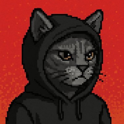 _nomso_'s profile picture. Degen & Meme Speculator