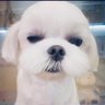 DinnyK33's profile picture. Fan Account @EWaraha @itscharlotty | IG: fa_engfa8 - itscharlotty | #อิงฟ้ามหาชน #ชาล็อตออสติน #EngfaWaraha #CharlotteAustin | #อิงล็อต #englot #บ้านคู่อิงล็อต