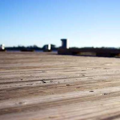 DamienWyma's profile picture. Plant educator