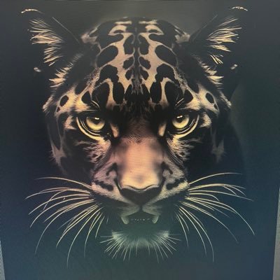 Jinx_phoenix21's profile picture. Gaymer, photographer, twitch junkie, crazy cat dad! #FuckCancer