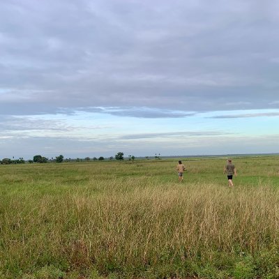 SexySamFlanders's profile picture. Don't lose the forest for the tree's.