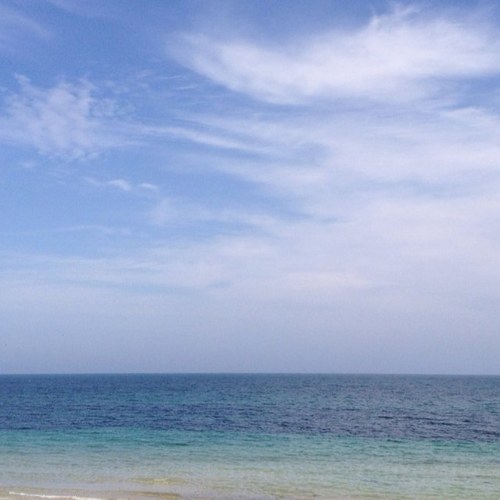 docfun's profile picture. 